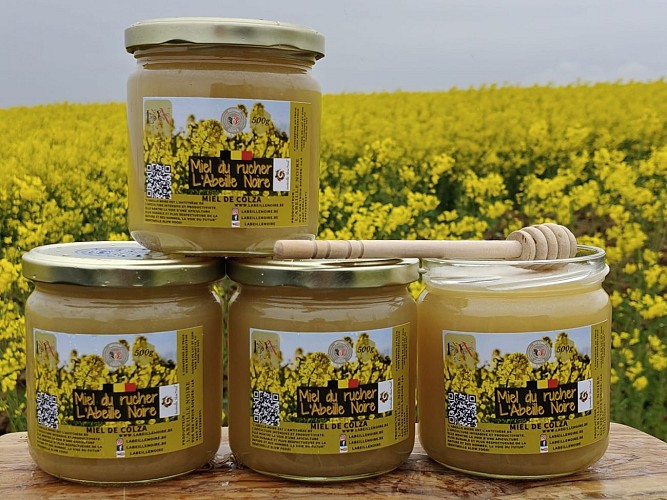 Labeillenoire-fleurs-de-colza-miel-wallonie (7)