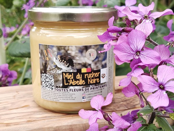 Labeillenoire-miel-toutes-fleurs-de-printemps-500g (3)