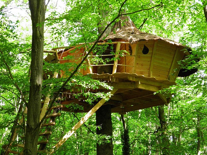 Cabanes de la Tour - Tree houses