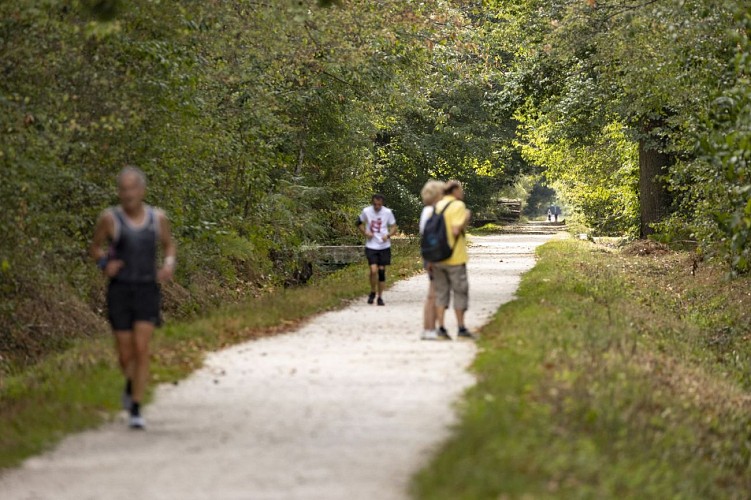 Foret domaniale de Notre Dame