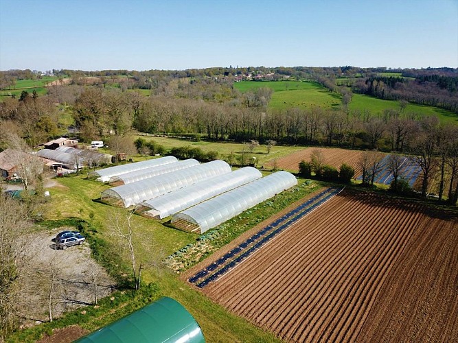 L'oignon fait la force