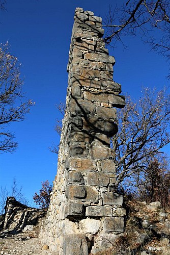 Ruines du château d'Aspremont