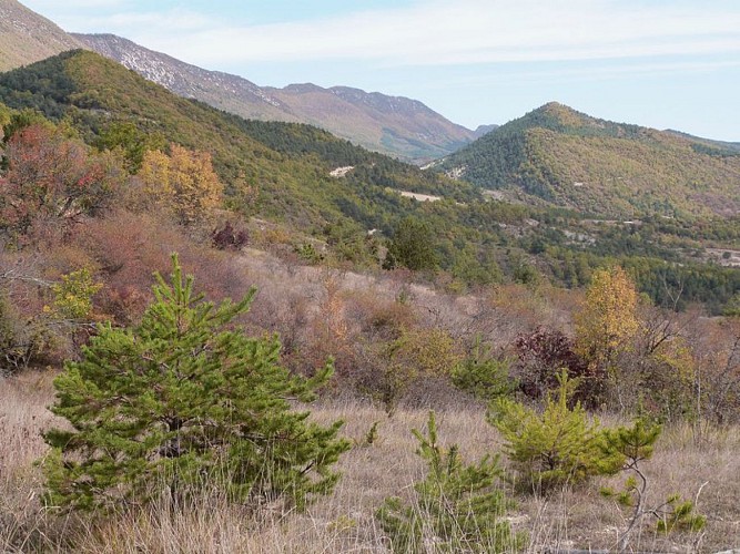 Vue d'ensemble depuis le Col de Séouze