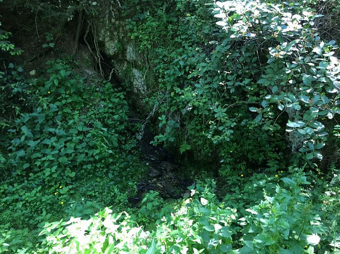 Source de Font la Mère