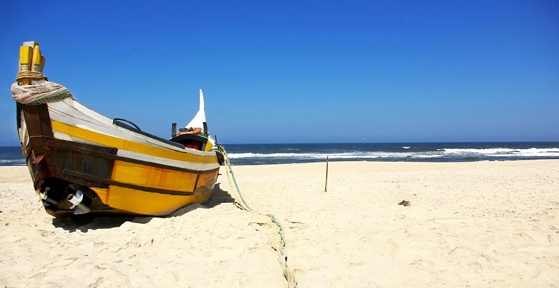 Half day excursion to Aveiro & boat trip - in French - From Porto