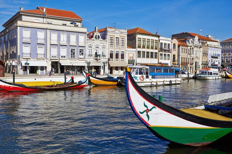 Excursion d'une demi-journée à Aveiro & visite en bateau – en français - Au départ de Porto