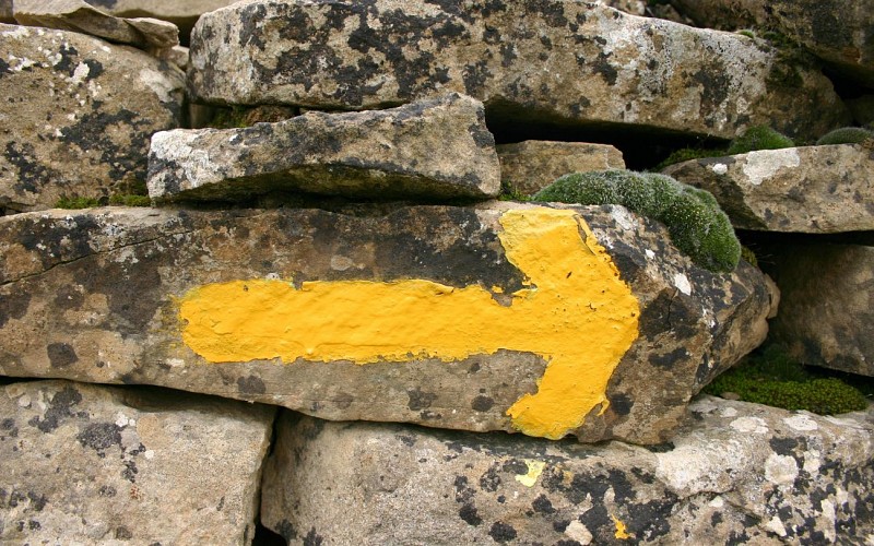 Excursion d’une journée à Saint-Jacques de Compostelle – en français - Au départ de Porto