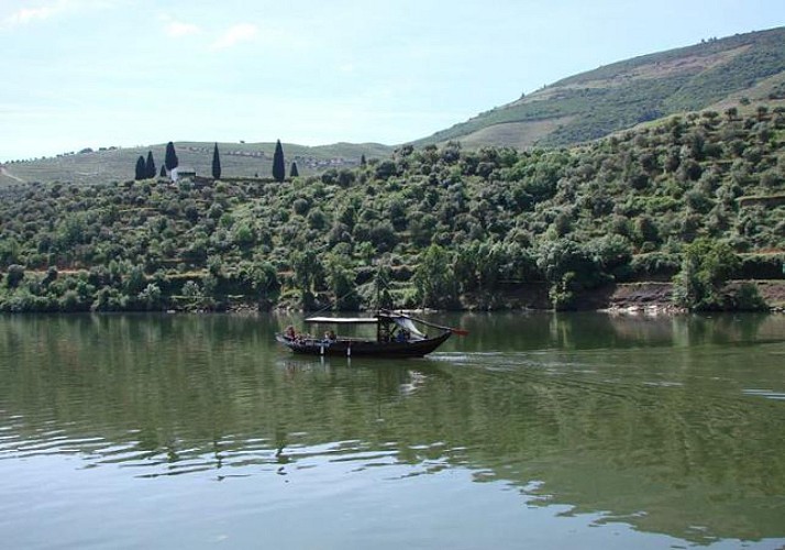 Croisière d'une journée sur le Douro de Régua à Porto - transfert aller depuis Porto et déjeuner inclus