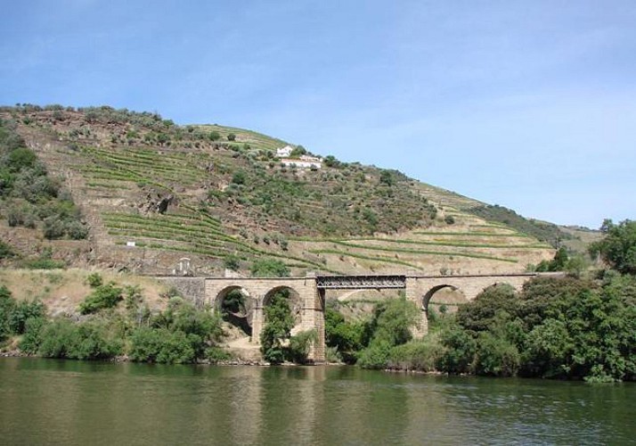 Croisière d'une journée sur le Douro de Régua à Porto - transfert aller depuis Porto et déjeuner inclus