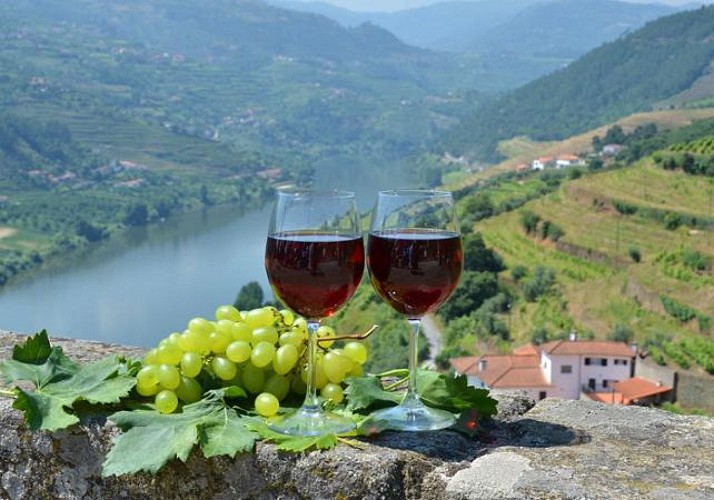 Day trip: Wine tasting and cruise in the Douro Valley - in French - Departure from Porto