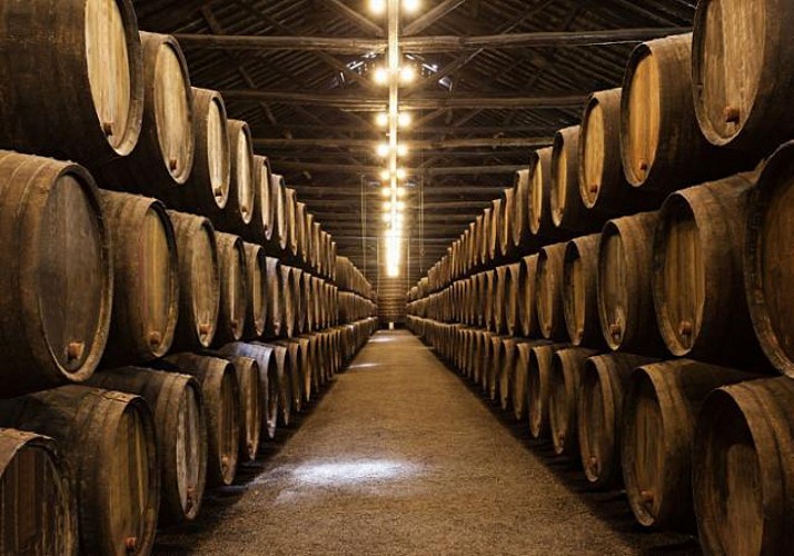 Degustación de vino en la región de Duero - Salida y regreso a su hotel