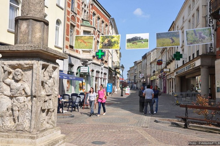 La colonne gallo-romaine