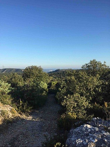 Château de Saint Victor Lacoste