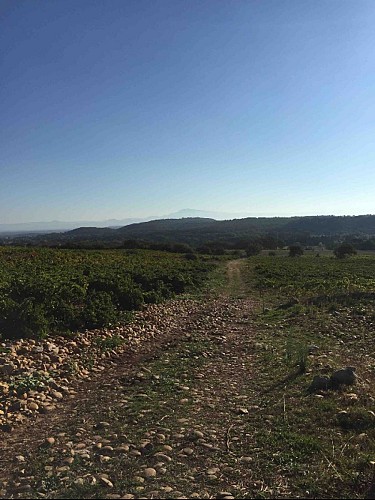 Face à vous le mont Ventoux