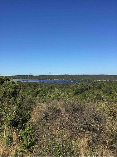 Énergies Renouvelables