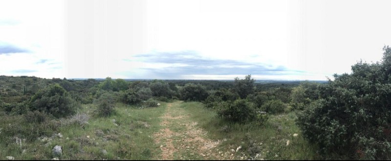 Garrigues et Source de la Bastide
