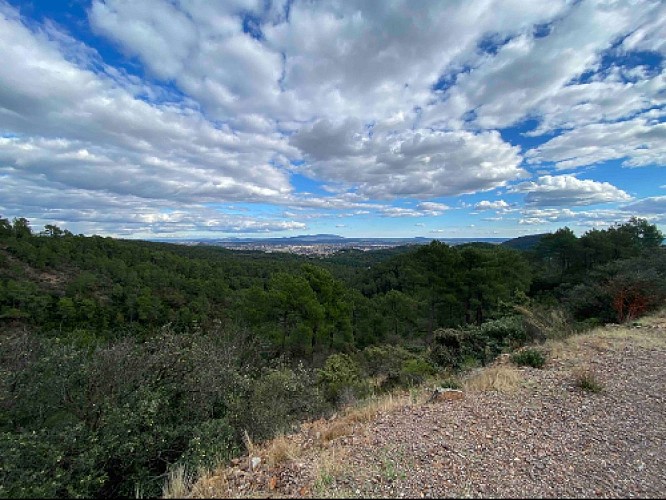Point de vue sur Ales et le Mont Bouquet