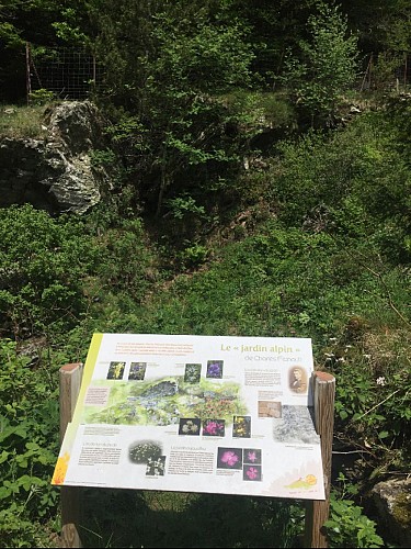 Jardin Alpin de Charles Flahaut