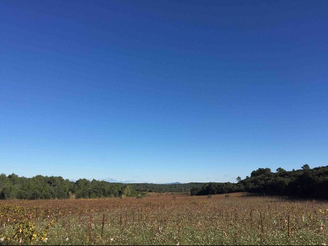 Vue sur le Mont Bouquet