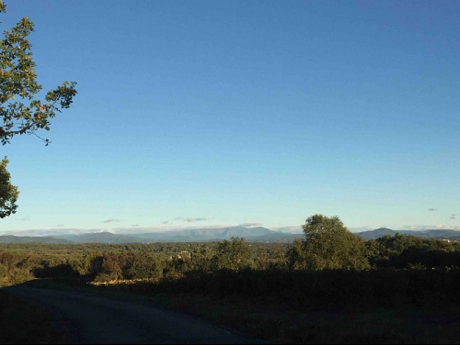 Vue sur les contreforts du Mont Lozere