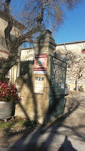 Mas Montel