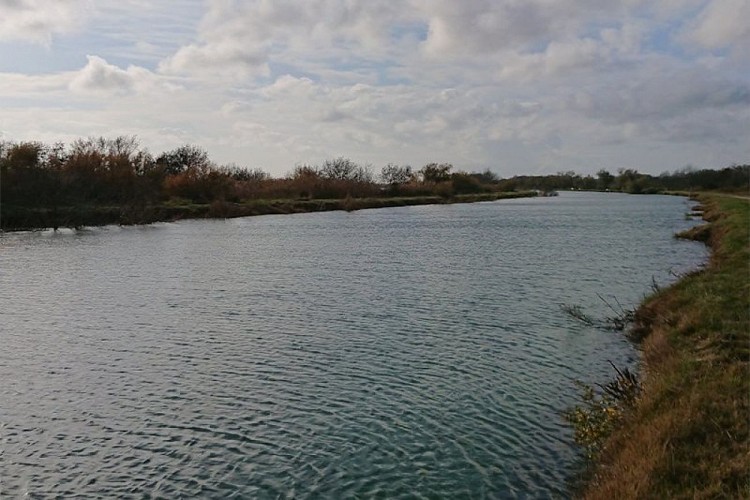 Canal du Rhône à Sète