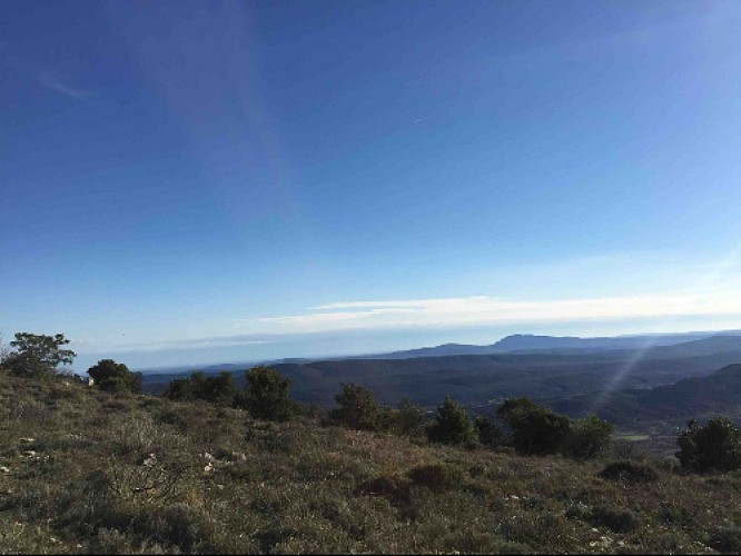 Vue remarquable sur le Pic Saint Loup