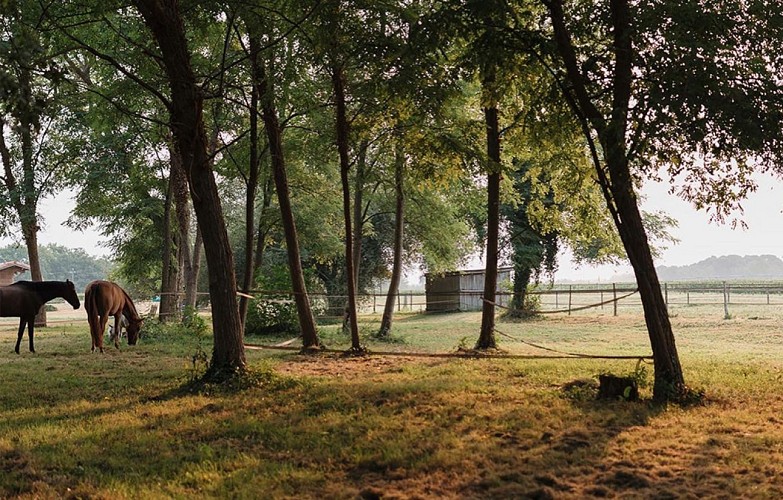 ts-5-ranch-2