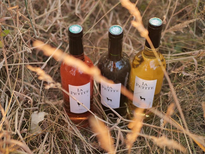 Château la Levrette