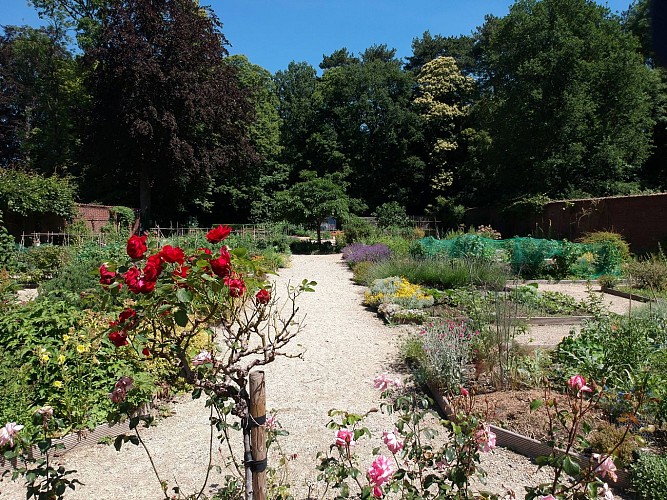 Parc du Château Cheneau : Le Jardin du docteur Arouete 2