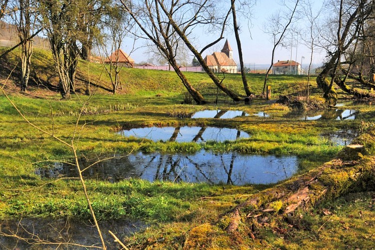 Le site des "Roises"