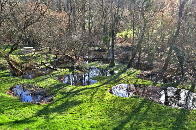 Le site des "Roises"