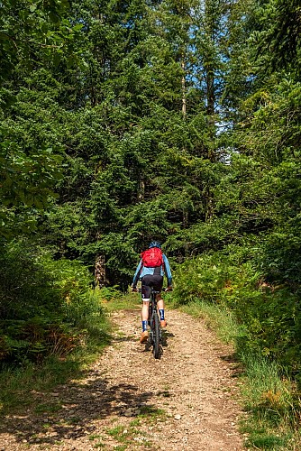 Espace VTT-FFC Vichy Montagne Bourbonnaise