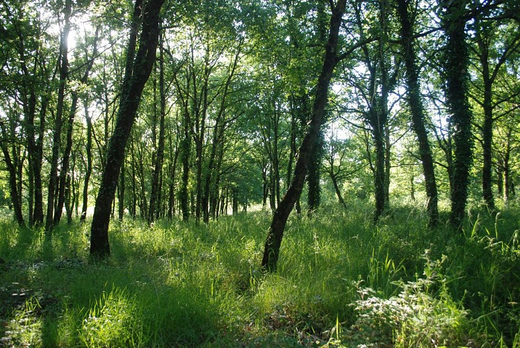 Domaine équestre de la Chênaie – Studio 3