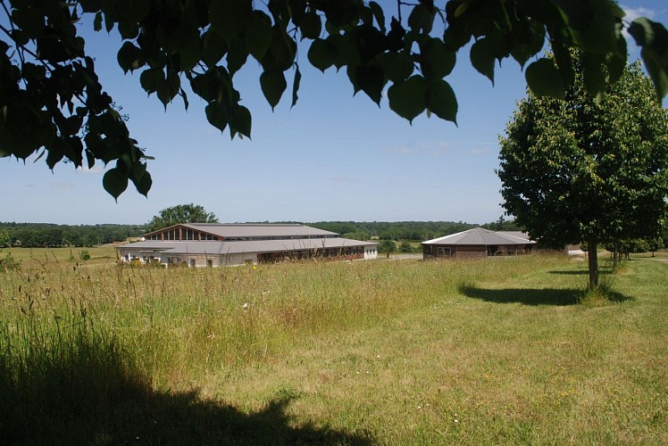 Domaine équestre de la Chênaie – Studio 4