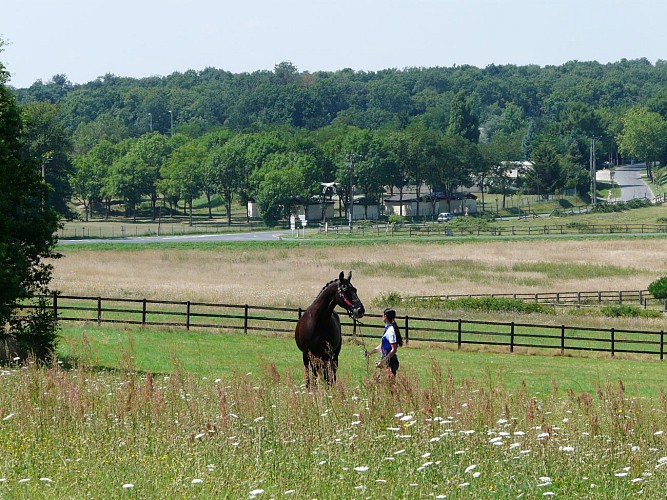 Domaine équestre de la Chênaie – Studio 4