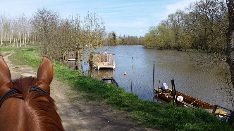 Domaine équestre de la Chênaie – Studio 1