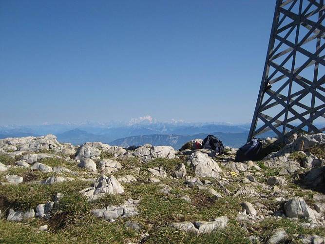 Sommet du Reculet (alt. 1719 m)