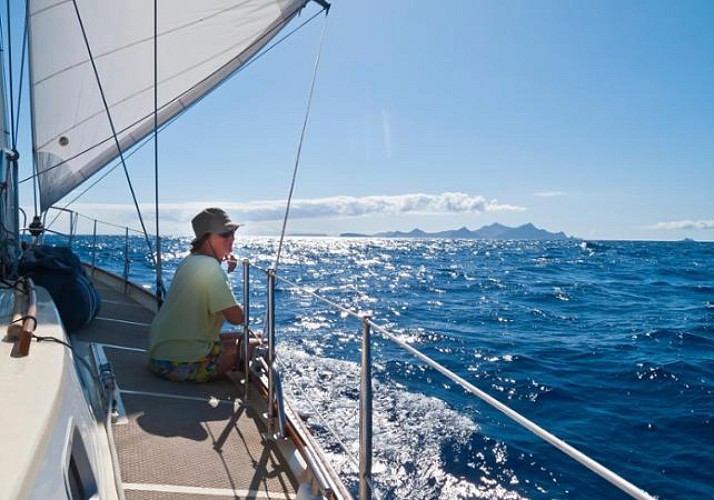 Croisière en voilier autour des Îles Désertes (Ilhas Desertas) - Au départ de Funchal