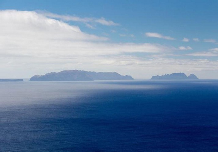 Croisière en voilier autour des Îles Désertes (Ilhas Desertas) - Au départ de Funchal