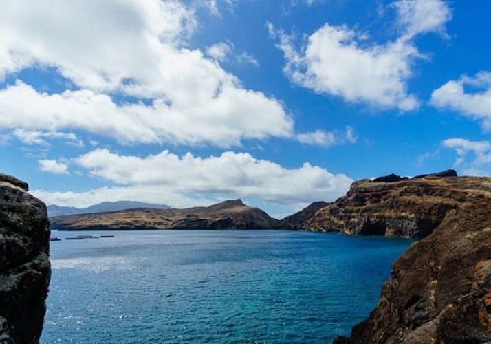 Croisière en voilier d'observation des dauphins et baleines (3h) - Au départ de Funchal