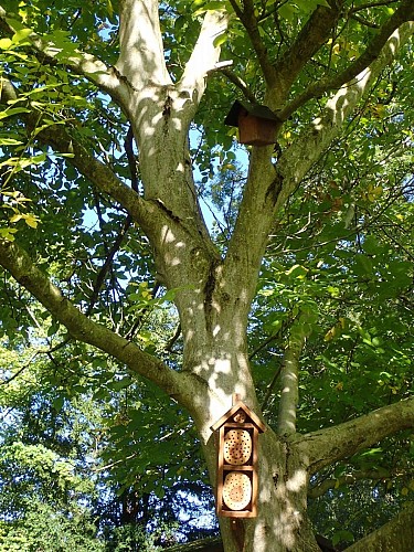 Biodiversité roseraie4