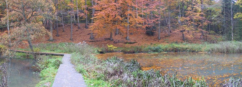 Etangs du parc du Héron