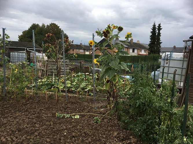 Jardins familiaux