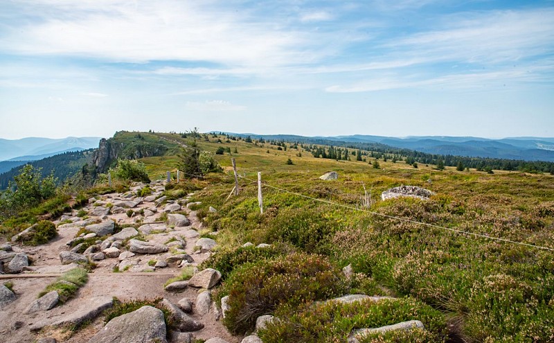 The tanet-gazon du faing nature reserve