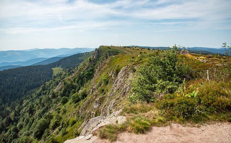 The tanet-gazon du faing nature reserve