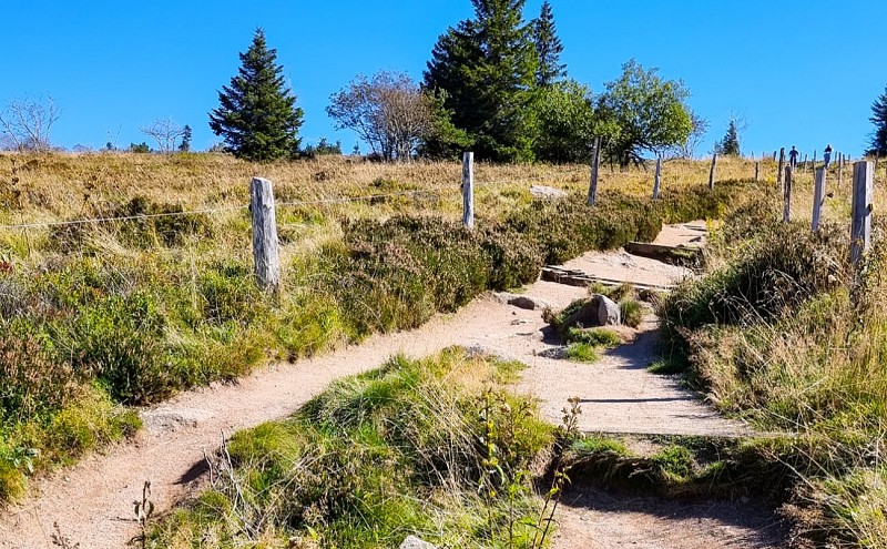 La réserve naturelle du Tanet-gazon du faing