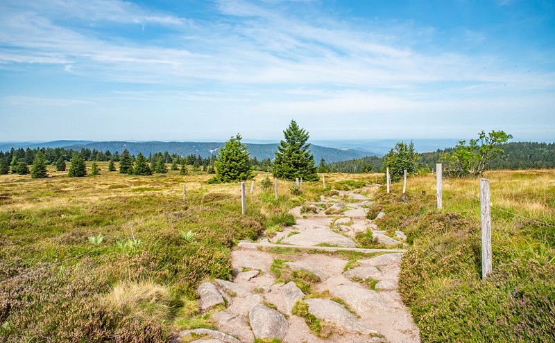 La réserve naturelle du Tanet-gazon du faing