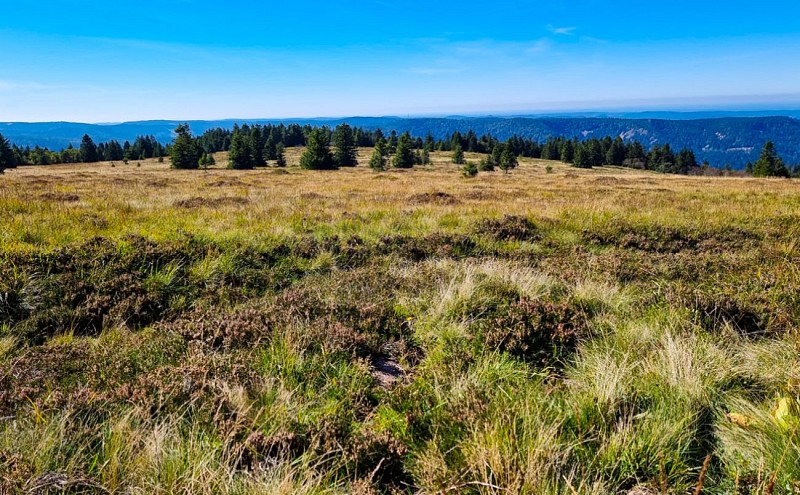 Het natuurreservaat tanet-gazon du faing