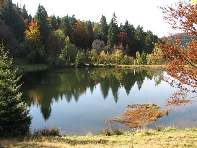 Le Rouge Gazon und die Almweide Chaume des Neufs Bois